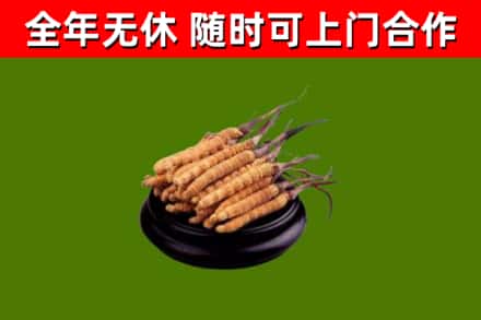 长葛市烟酒回收冬虫夏草.jpg